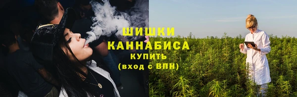 прущие грибы Нефтегорск