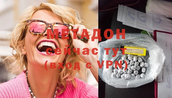 прущие грибы Нефтегорск