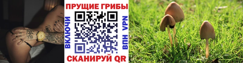 ссылка на мегу как зайти Комсомольск-на-Амуре Галлюциногенные грибы прущие грибы хочу наркоту