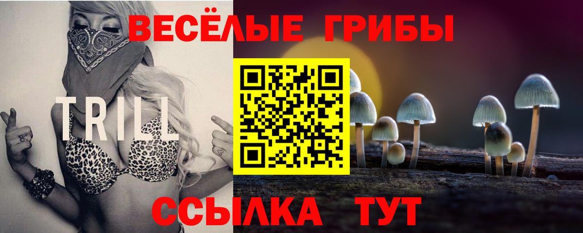 Псилоцибиновые грибы GOLDEN TEACHER  Вход с VPN  Комсомольск-на-Амуре 