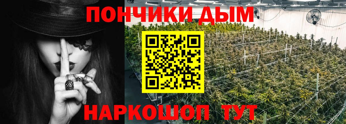 Канабис сатива Комсомольск-на-Амуре